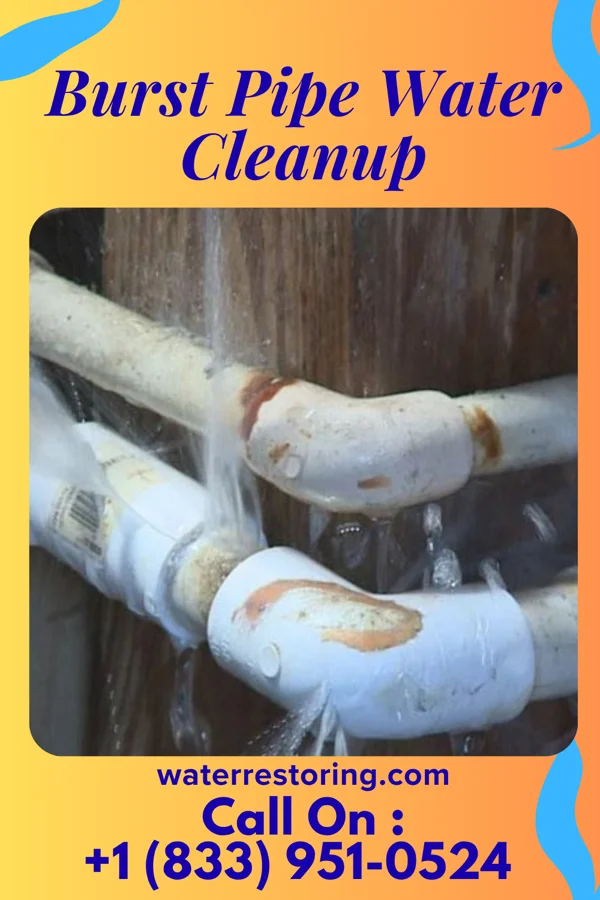 Burst Pipe Water Cleanup in Milton, WI