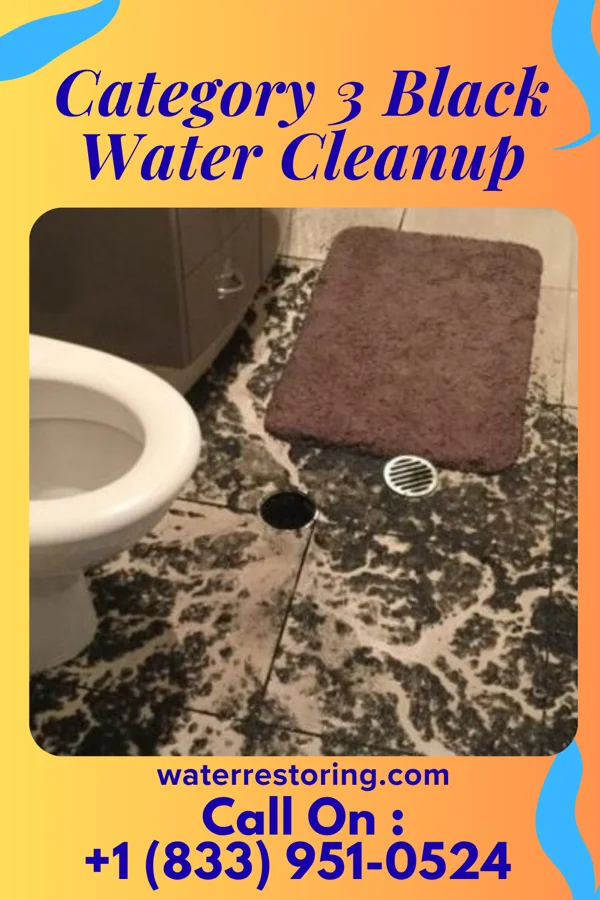 Category 3 Black Water Cleanup in Milton, WI